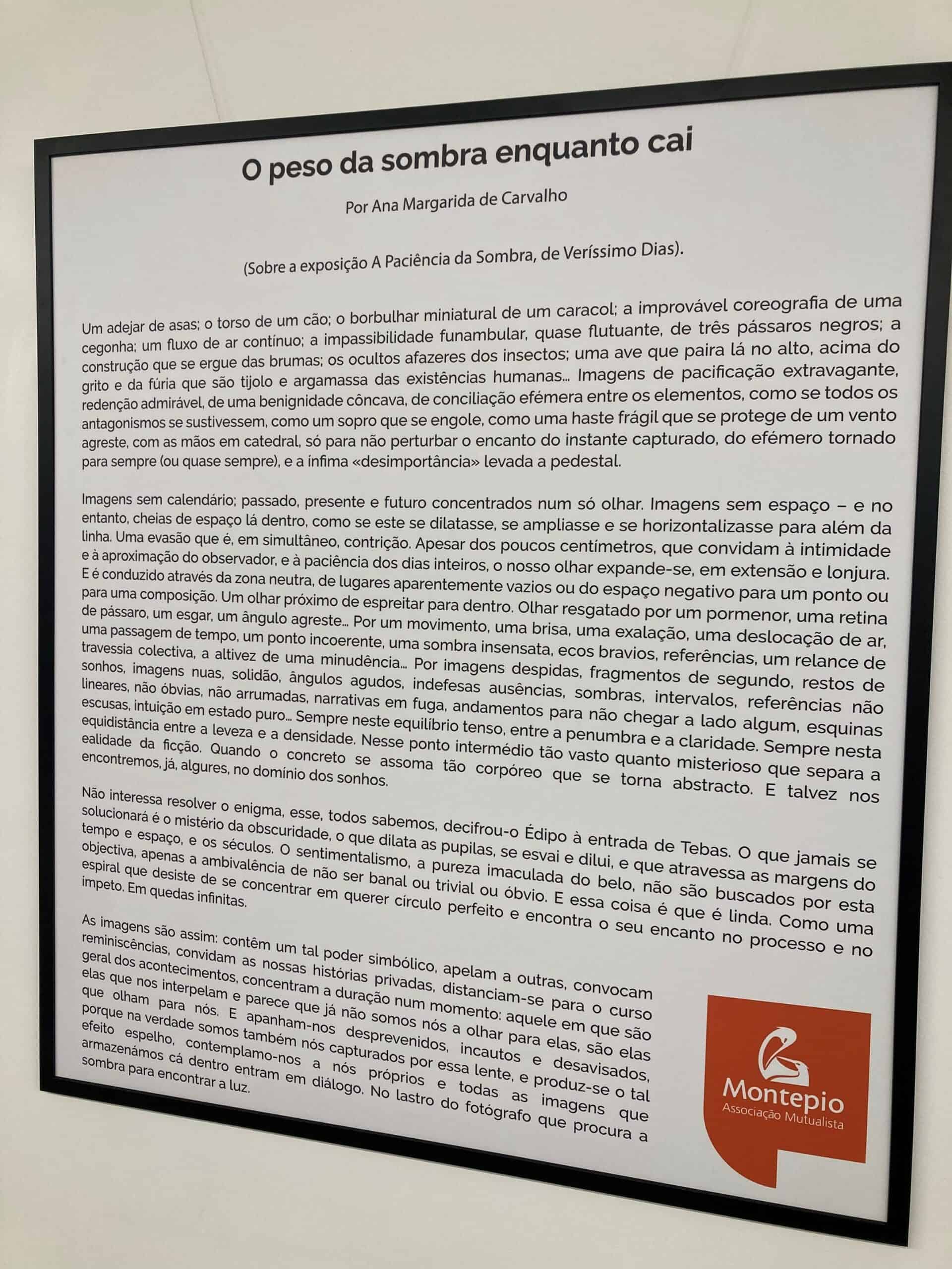 A Paciência da Sombra, de Veríssimo Dias 36